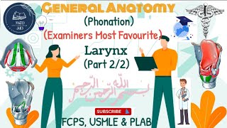 Phys Of Phonation amp Larynx  Part 22 [upl. by Artemisia489]