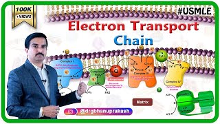 Electron transport chain  ETC  and Oxidative phosphorylation  Biochemistry Dr G Bhanu Prakash [upl. by Eornom612]