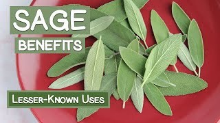 Sage Leaf Benefits Two LesserKnown Herbal Uses [upl. by Nealson473]