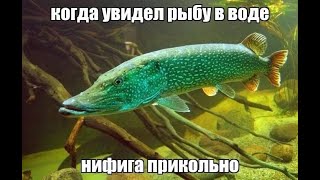 РАБОЧИЙ ЧИТ FISHING PLANET 2023 [upl. by Sevein]