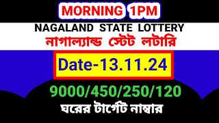 13 11 2024 9000450 টাকা ঘরের middle part number target today। Nagaland state lottery Sambad [upl. by Elcin102]