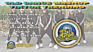 OLD DANCE MASHUP TIKTOK TRENDING 2021 VIRAL Zumba DanceBriones Brothers dance cover [upl. by England241]