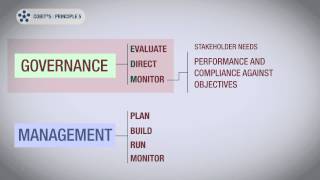 COBIT 5 Principle Five [upl. by Noet]