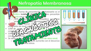 ⚕️🩺 Glomerulopatías NEFROPATÍA MEMBRANOSAGLOMERULONEFRITIS MEMBRANOSA Síntomas y Tratamiento [upl. by Hermione]