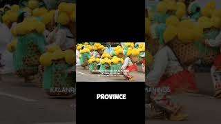 Lanzones Festival in Camiguin youtubeshorts phlippines travel [upl. by Nohsreg]