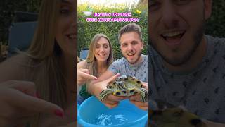 BEAUTY ROUTINE della mia TARTARUGA ACQUATICA🧼🐢🚿 tartaruga beautyroutine turtle tutorial [upl. by Trinatte]