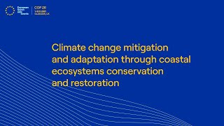 The Connection Between Climate Change amp Human Rights [upl. by Phelia]