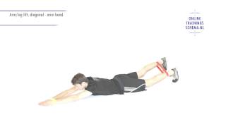 Armleg lift diagonal – Mini band  Onlinetrainingsschemanl [upl. by Salahcin682]