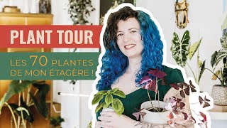 🪴 Plant Tour et présentation de mon étagère avec plus de 70 plantes 😱 [upl. by Miche965]