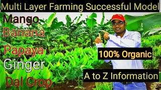 Multilayer Farming Successful Model5 Layer modelमल्टी लेयर फार्मिंग सफल मॉडल5 लेयर फार्मिंग [upl. by Shippee115]