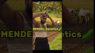 Mendel The legend💪 KhushiMishra11 shorts neetexam shivamrajaiims biology funny [upl. by Yde]