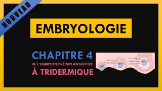 Embryologie  Chapitre 4  De l’embryon préimplantatoire à tridermique [upl. by Adnaerb]