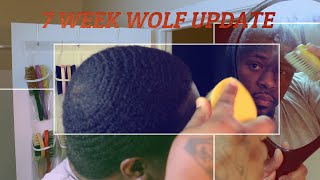 jfayde waves wolfing 12 WEEK WOLF WEEK 7 [upl. by Elyrpa120]