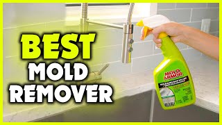 Best Mold Remover 2022 Top 5 Picks [upl. by Holman786]