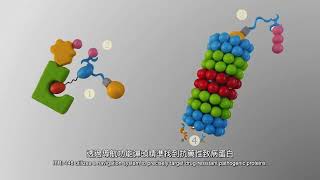 口服ARV7 PROTAC蛋白質降解藥物應用於去勢抗性前列腺癌CRPC [upl. by Ojybbob367]