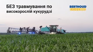 БЕЗ травмувань і витоптувань Обробіток кукурудзи ⬆ 2м самохідним обприскувачем BERTHOUD Bruin 4200 [upl. by Ardnuaet]