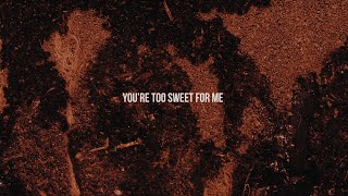 Hozier  Too Sweet Official Lyric Video [upl. by Alyss]