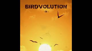 Birdvolution [upl. by Valerle]