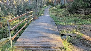 Wanderung auf dem Limeserlebnispfad 22 [upl. by Aihsal]