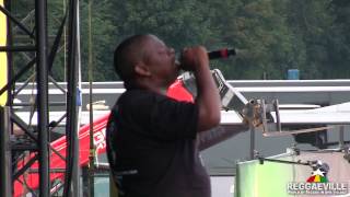 Tippa Irie  Roots  Chiemsee Reggae Summer 2013 [upl. by Serena175]