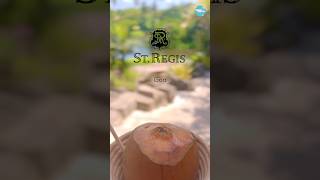 St Regis Resort South GoaMobor Beach Cavelossim shorts goa vacation [upl. by Saum183]