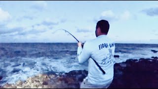 Aruba Travel Fishing Smuggler Max Travel Rod Vs Horse Eye Jack [upl. by Kesley111]