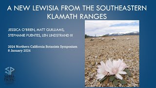 A new Lewisia from the southeastern Klamath Ranges by Jessica OBrien [upl. by Dirk]