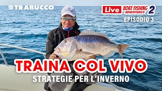 STRATEGIE per la TRAINA col VIVO ❄INVERNALE❄ a DENTICI e RICCIOLE » LBFA S2E3 [upl. by Nywles]