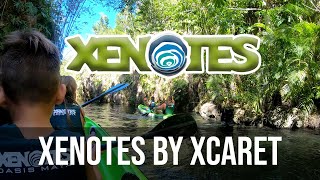 Xenotes Family Mexico Cenote Tour [upl. by Roze]