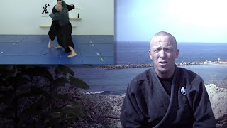 All the basic Ninjutsu throws  Interactive video hub [upl. by Ahsikyw718]