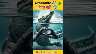 आइए जानते है की🔥 Crocodile🐊 कभी रोते है या नहीं 😱💥🤯🐊shorts crocodile ytshorts facts trending [upl. by Naihtniroc]