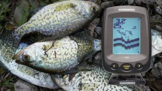 Эхолот HUMMINBIRD PiranhaMAX 180 [upl. by Eila]