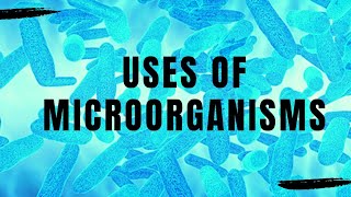 Microorganisms  Uses of microorganisms [upl. by Lorie]