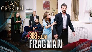 Kan Çiçekleri 388 Bölüm Tanıtımı [upl. by Trebron887]