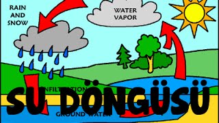 SU DÖNGÜSÜ ANİMASYON  WATER CYCLE ANİMATİON [upl. by Onilecram67]