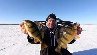 Episode 33 Devils Lake Jumbo Perch [upl. by Othello]