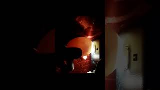 CANDLING CHICKEN EGGS DAY 9 Viral Shorts [upl. by Keller503]