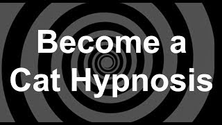 Become a Cat Hypnosis [upl. by Netsirhc]