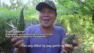 AMO Organic Foliar Fertilizer  TESTIMONIALS [upl. by Inesita]