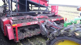 Digging Sugar Beets in the Red River Valley [upl. by Clarine]