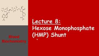 Blood Biochemistry  Hexose Monophosphate HMP Shunt [upl. by Fleeta]