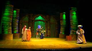 Aladin Il Musical  Sono Stufo [upl. by Eldwen893]