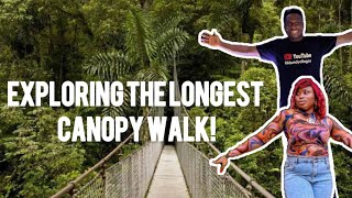 Exploring the LONGEST Canopy walk in Africa Lekki Conservation Centre Lagos Nigeria [upl. by Nawyt]