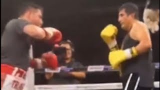 TRAVIESO ARCE VS ERIK TERRIBLE MORALES PELEA COMPLETA [upl. by Rechaba]