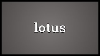 Lotus Meaning [upl. by Einned]