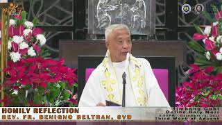 Homily of Rev Fr Benigno Beltran SVD Simbang Gabi [upl. by Kcirdorb271]