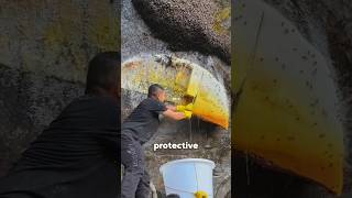 Harvesting Honey from Cave Walls [upl. by Cadell]