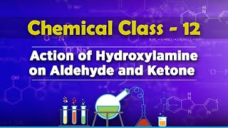 Action of Hydroxylamine on Aldehyde and Ketone  Aldehydes Ketones and Carboxylic Acids [upl. by Norreg]