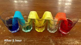 Lets Learn About Capillary Action [upl. by Hauck]