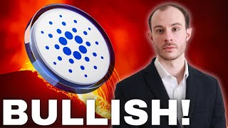 Institutions Will PUMP Cardano ADA [upl. by Ykcub]